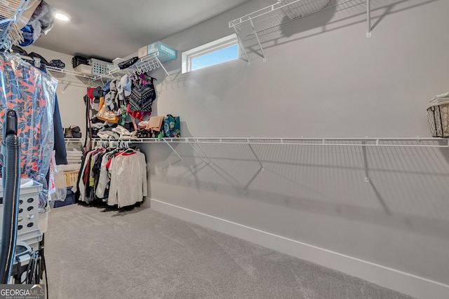 29 Peppertree Dr, Newnan, GA 30265 - spacious closet with carpet