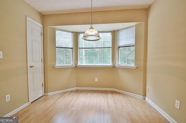 4135 Coursey Lake Rd, Douglasville, GA 30135 - unfurnished dining area with light wood-type flooring, plenty of natural light, and a textured ceiling