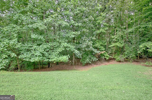4135 Coursey Lake Rd, Douglasville, GA 30135 - view of grassy yard