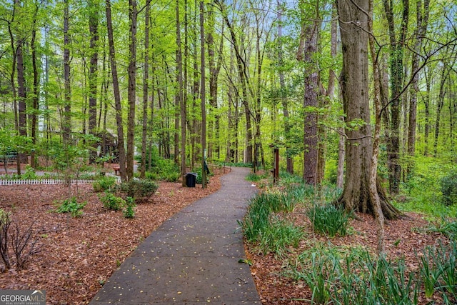 1508 Brianwood Rd Unit 1508, Decatur, GA 30033 - view of community with a forest view