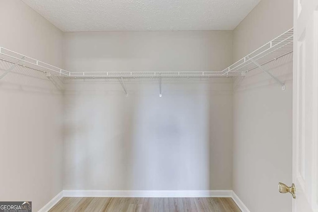 4735 Widgeon Way, Cumming, GA 30028 - walk in closet featuring light wood-style flooring