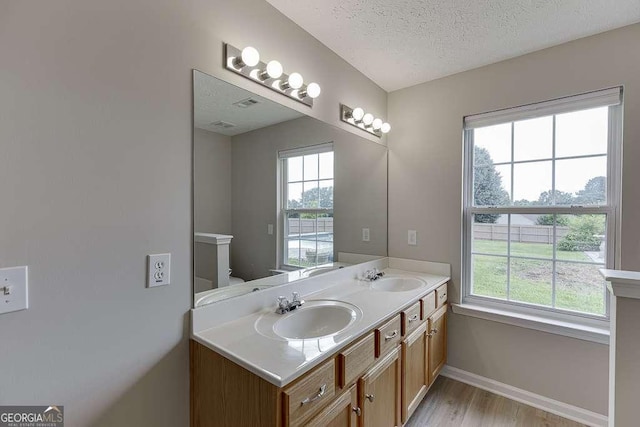 4735 Widgeon Way, Cumming, GA 30028 - full bathroom featuring double vanity, healthy amount of natural light, wood finished floors, and a textured ceiling