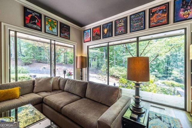 4850 Lake Fjord Pass, Marietta, GA 30068 - living area with ornamental molding and wood finished floors