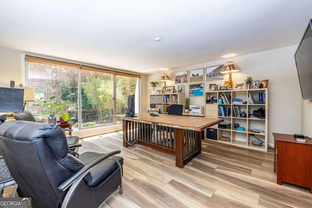 4850 Lake Fjord Pass, Marietta, GA 30068 - home office featuring light wood-type flooring