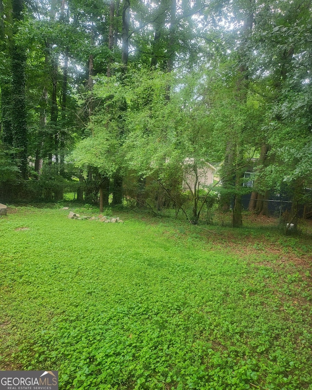 6118 Dana Ct Unit 6, Lithonia, GA 30058 - view of yard