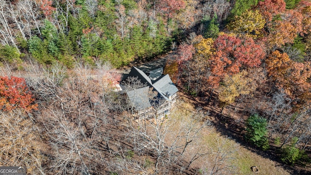 307 Big Timber Rd, Mineral Bluff, GA 30559 - view of subject property with a heavily wooded area