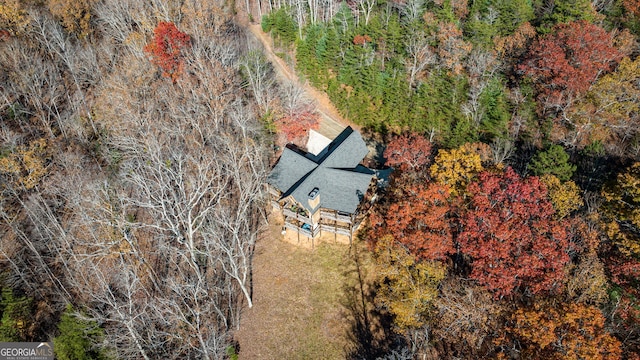 307 Big Timber Rd, Mineral Bluff, GA 30559 - view of subject property