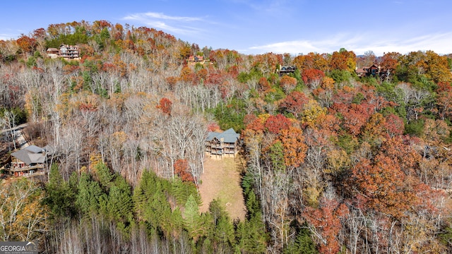 307 Big Timber Rd, Mineral Bluff, GA 30559 - aerial view of a forest