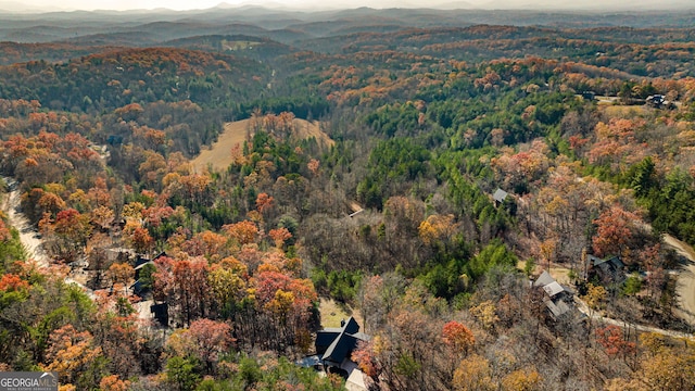 307 Big Timber Rd, Mineral Bluff, GA 30559 - drone / aerial view of a forest