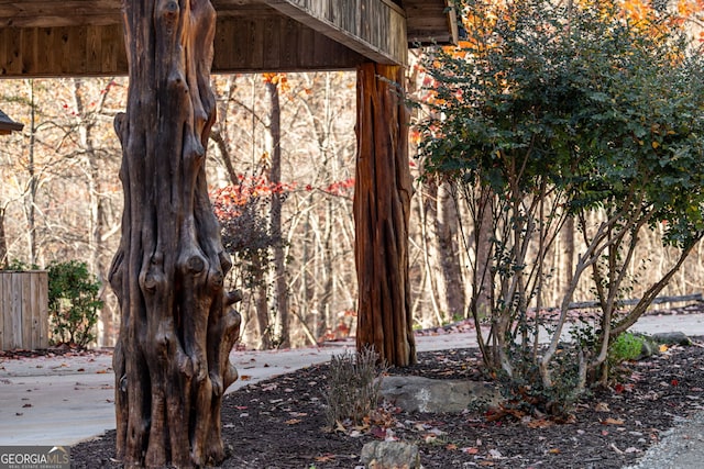307 Big Timber Rd, Mineral Bluff, GA 30559 - view of yard
