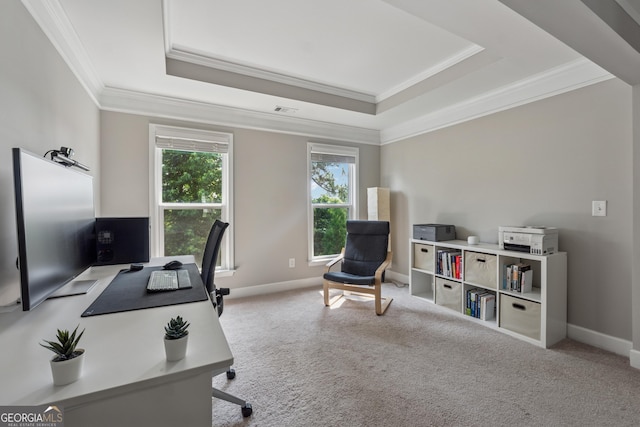 733 Wexford Cove Way, Mableton, GA 30126 - home office with ornamental molding, a raised ceiling, and carpet flooring