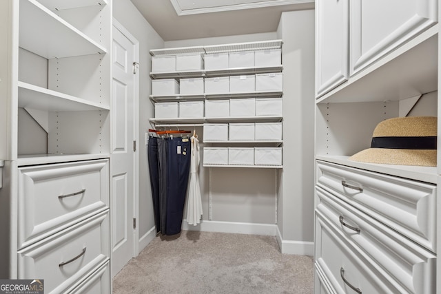 733 Wexford Cove Way, Mableton, GA 30126 - walk in closet with light colored carpet