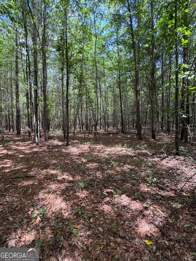 0 Tobias Rd, Sardis, GA 30456