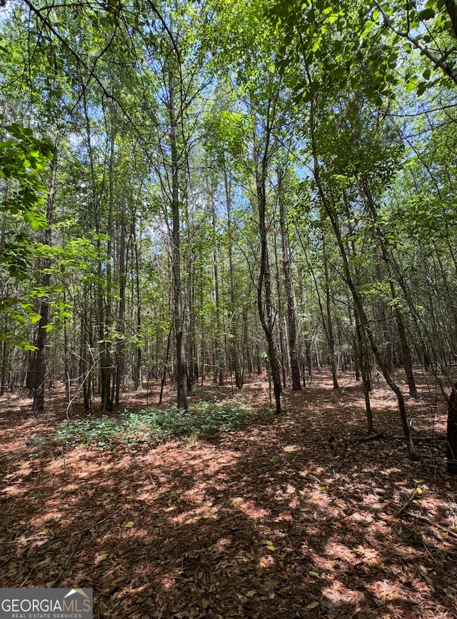 0 Tobias Rd, Sardis, GA 30456