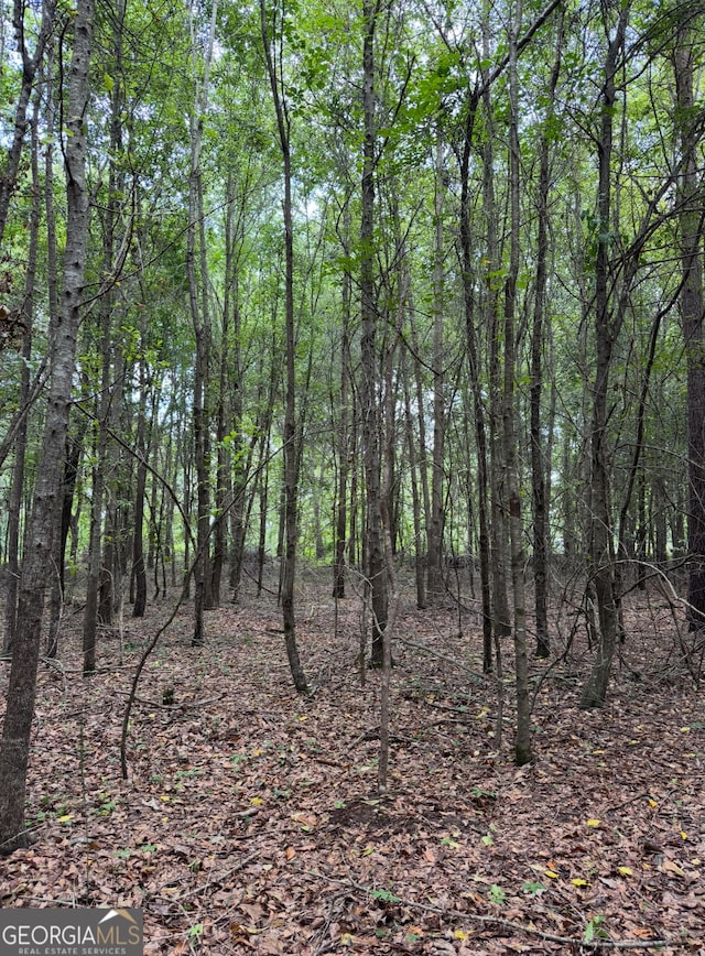 0 Tobias Rd, Sardis, GA 30456