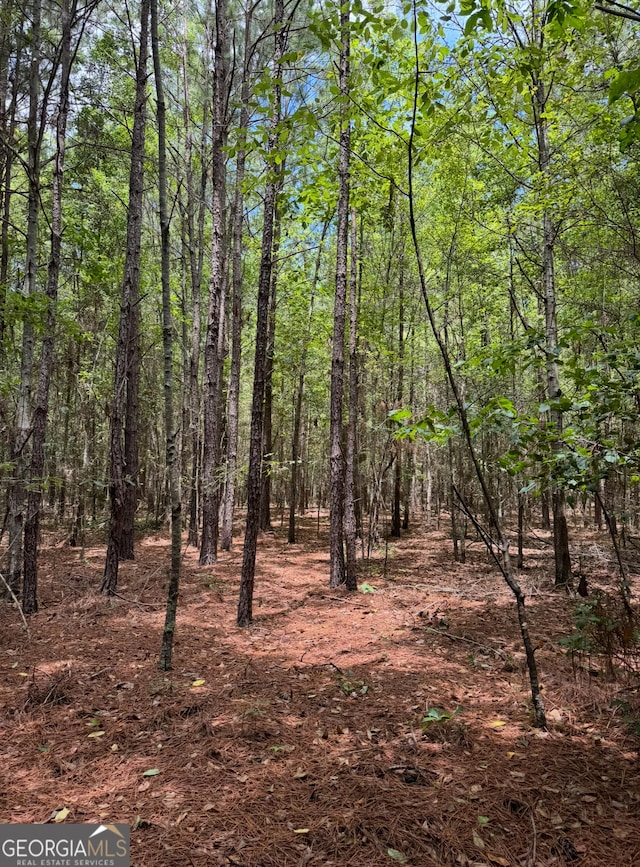 0 Tobias Rd, Sardis, GA 30456
