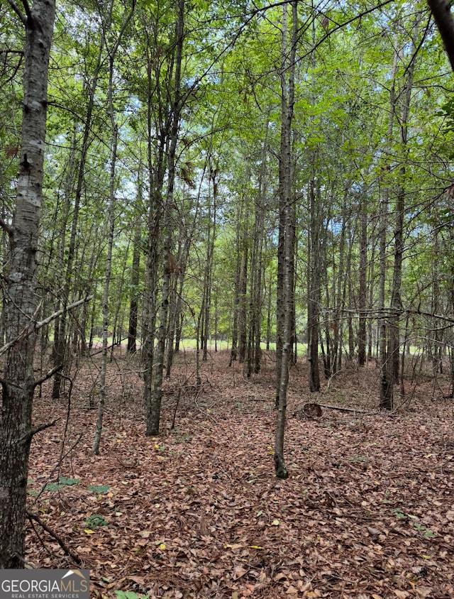 0 Tobias Rd, Sardis, GA 30456
