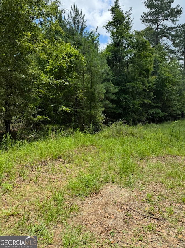 0 Tobias Rd, Sardis, GA 30456