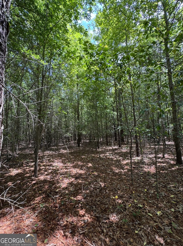 0 Tobias Rd, Sardis, GA 30456