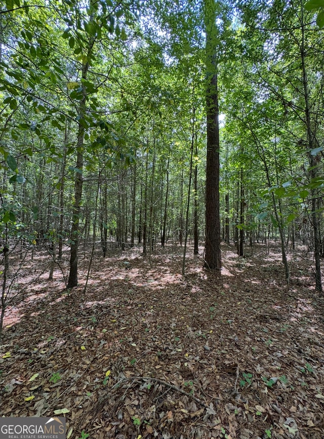 0 Tobias Rd, Sardis, GA 30456