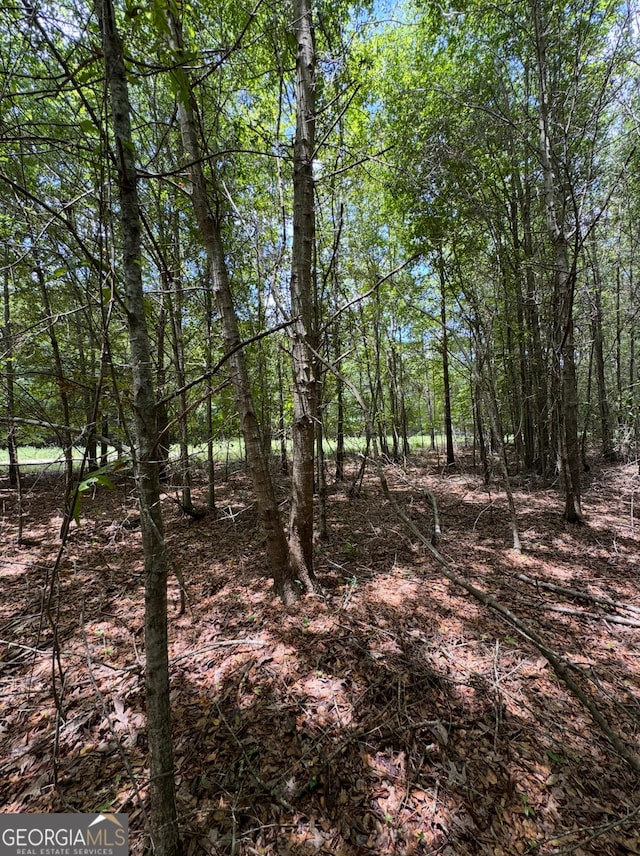 0 Tobias Rd, Sardis, GA 30456