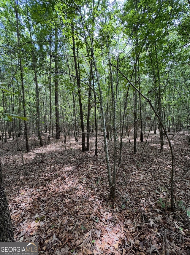 0 Tobias Rd, Sardis, GA 30456