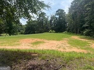 11595 Turner Rd, Hampton, GA 30228