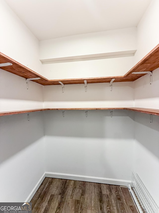 35 Paddle Boat Cv, Senoia, GA 30276 - walk in closet featuring dark wood-type flooring