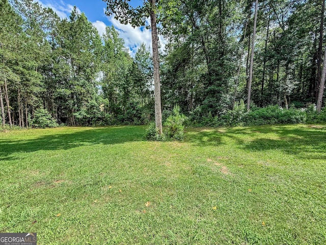35 Paddle Boat Cv, Senoia, GA 30276 - view of grassy yard