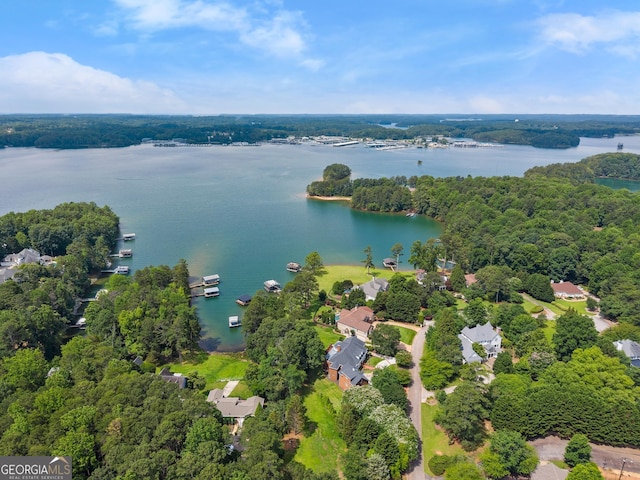 6707 Summer Crest Ct, Flowery Branch, GA 30542 - bird's eye view of a nearby body of water and a forest