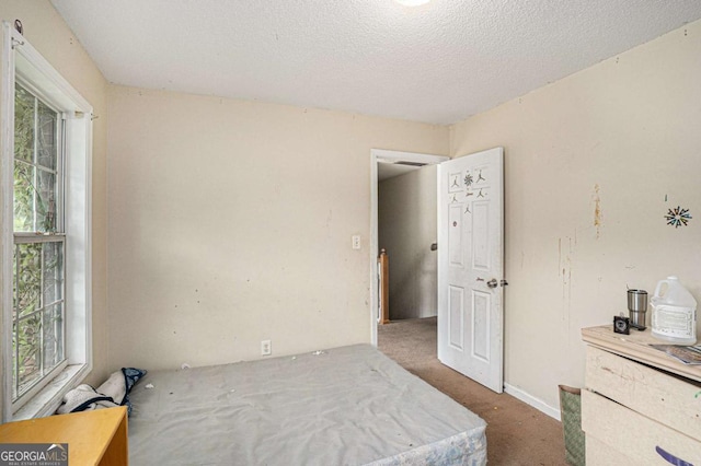 1135 Misty Meadows Way, Hampton, GA 30229 - unfurnished bedroom with carpet flooring and a textured ceiling