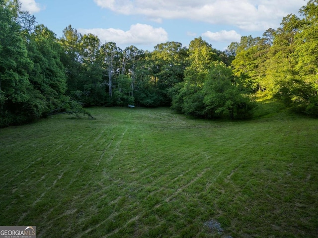 4.59AC Briar Cove Rd, Morganton, GA 30560