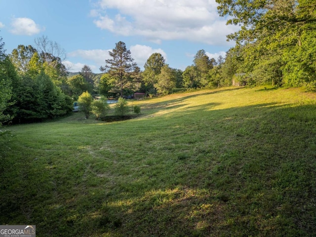 4.59AC Briar Cove Rd, Morganton, GA 30560