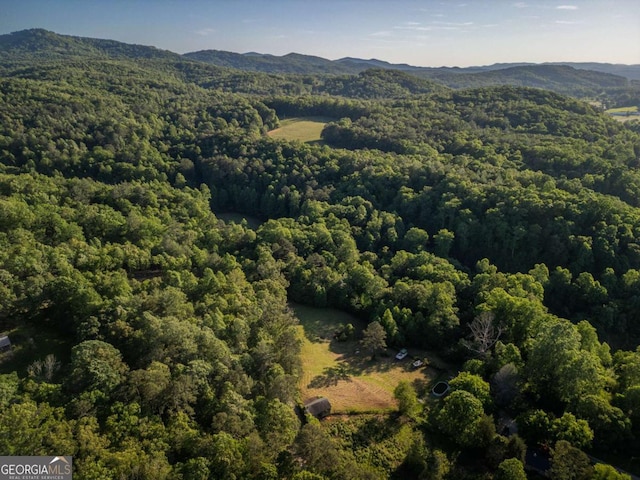 4.59AC Briar Cove Rd, Morganton, GA 30560