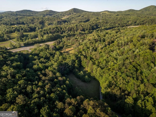 4.59AC Briar Cove Rd, Morganton, GA 30560