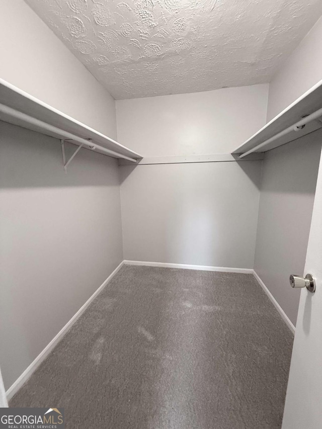 1081 Forest Path, Stone Mountain, GA 30088 - walk in closet with carpet floors