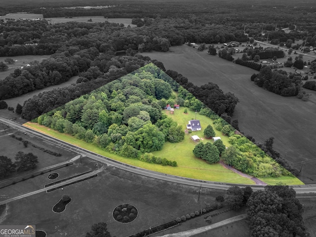 778 Leguin Mill Rd, Locust Grove, GA 30248 - aerial view of sparsely populated area with property parcel outlined