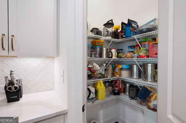 203 Holden Way, Woodstock, GA 30189 - view of pantry