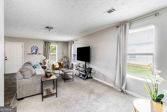 1147 Dunivin Dr, Jonesboro, GA 30238 - living room featuring a textured ceiling and carpet flooring
