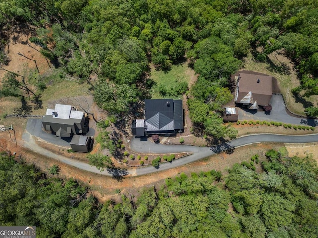 126 Wawayanda Dr, Mineral Bluff, GA 30559 - aerial view of property's location featuring a forest