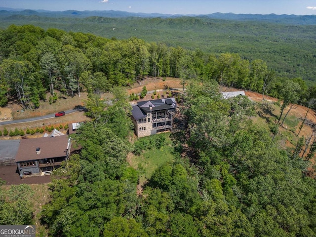 126 Wawayanda Dr, Mineral Bluff, GA 30559 - aerial overview of property's location featuring a forest