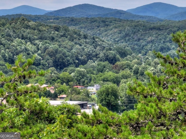 LOT4 Mountain Trce Unit 4, Ellijay, GA 30540