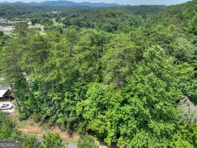 LOT4 Mountain Trce Unit 4, Ellijay, GA 30540