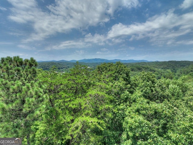 LOT4 Mountain Trce Unit 4, Ellijay, GA 30540