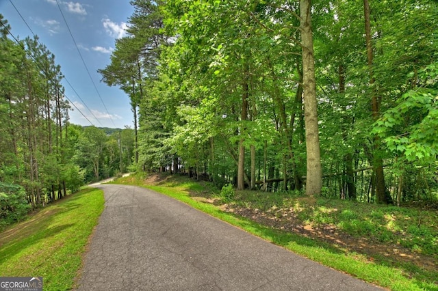 LOT4 Mountain Trce Unit 4, Ellijay, GA 30540