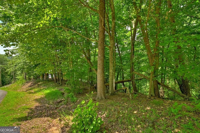 LOT4 Mountain Trce Unit 4, Ellijay, GA 30540