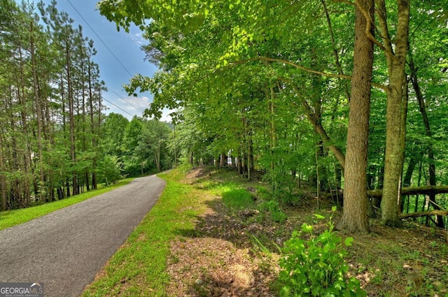 LOT4 Mountain Trce Unit 4, Ellijay, GA 30540