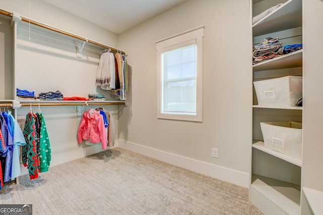 3076 E Lake Rd, Mcdonough, GA 30252 - walk in closet featuring carpet floors