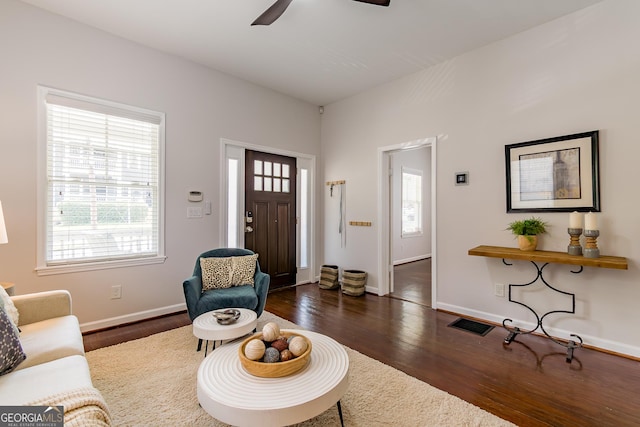 496 Rankin St NE, Atlanta, GA 30308 - living room featuring wood finished floors and ceiling fan