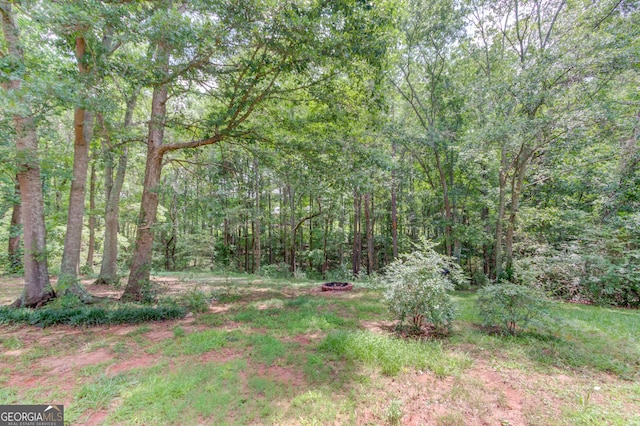 1406 Marshview Ct, Hoschton, GA 30548 - view of yard with a forest view